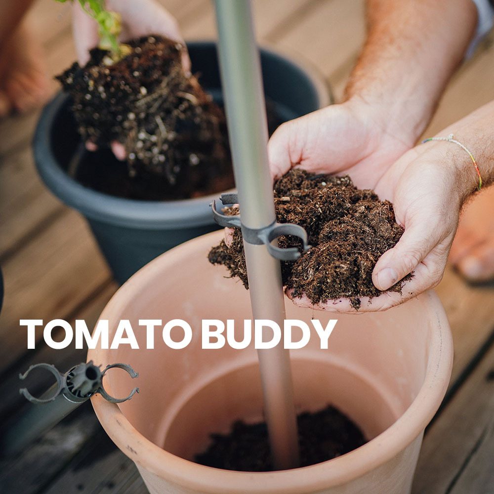 TOMATO-BUDDY-Anleitung