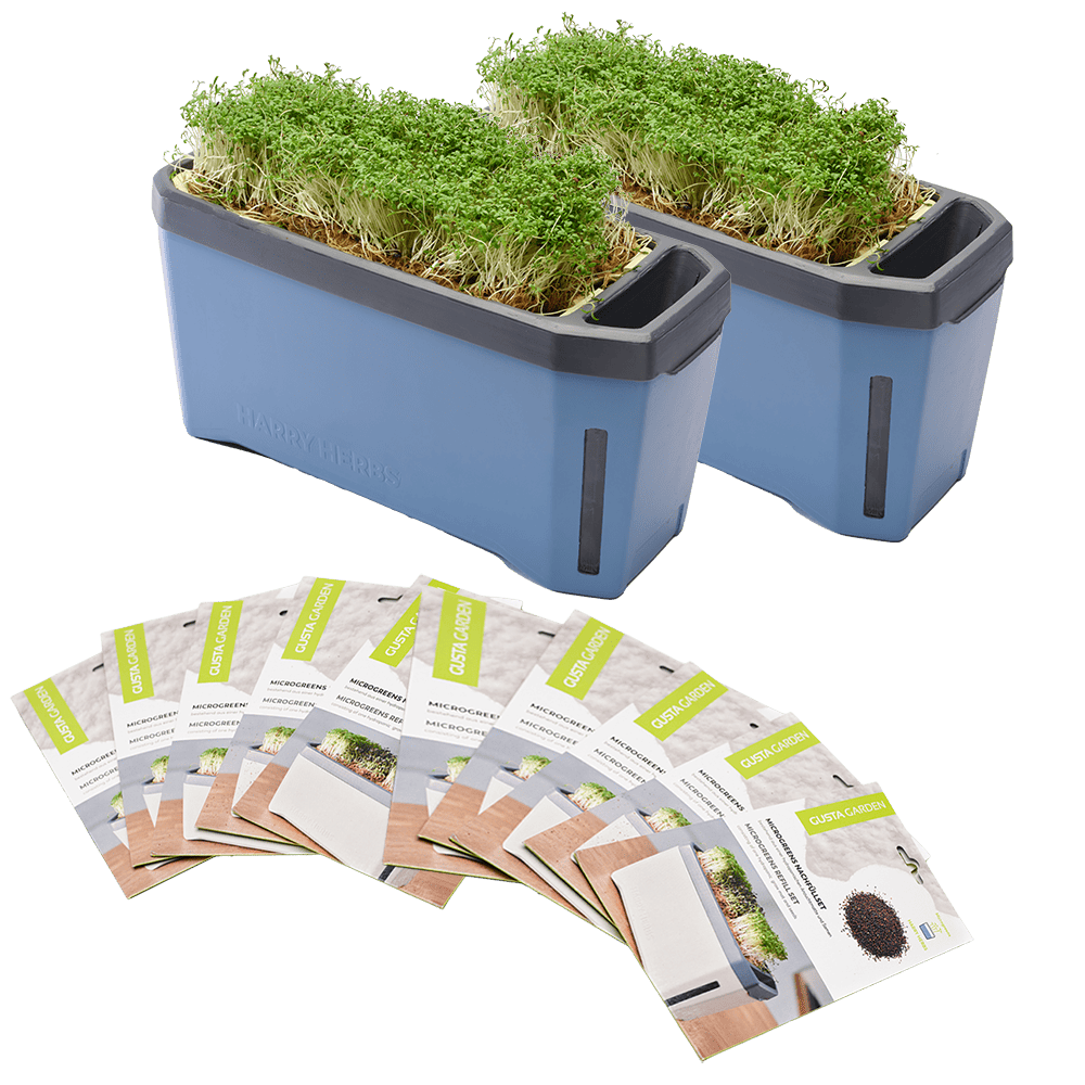 HARRY HERBS Microgreens Super Bundle (Doppelpack)