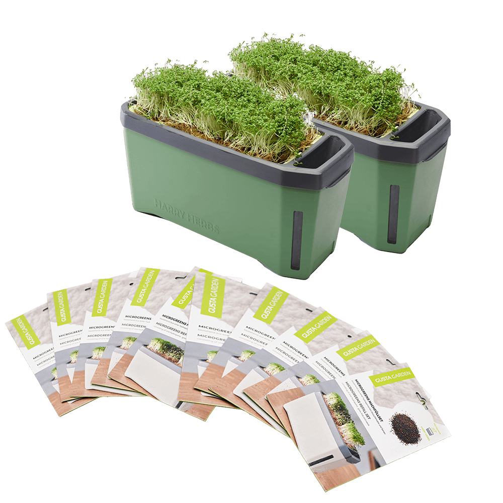 HARRY HERBS Microgreens Super Bundle (Doppelpack)