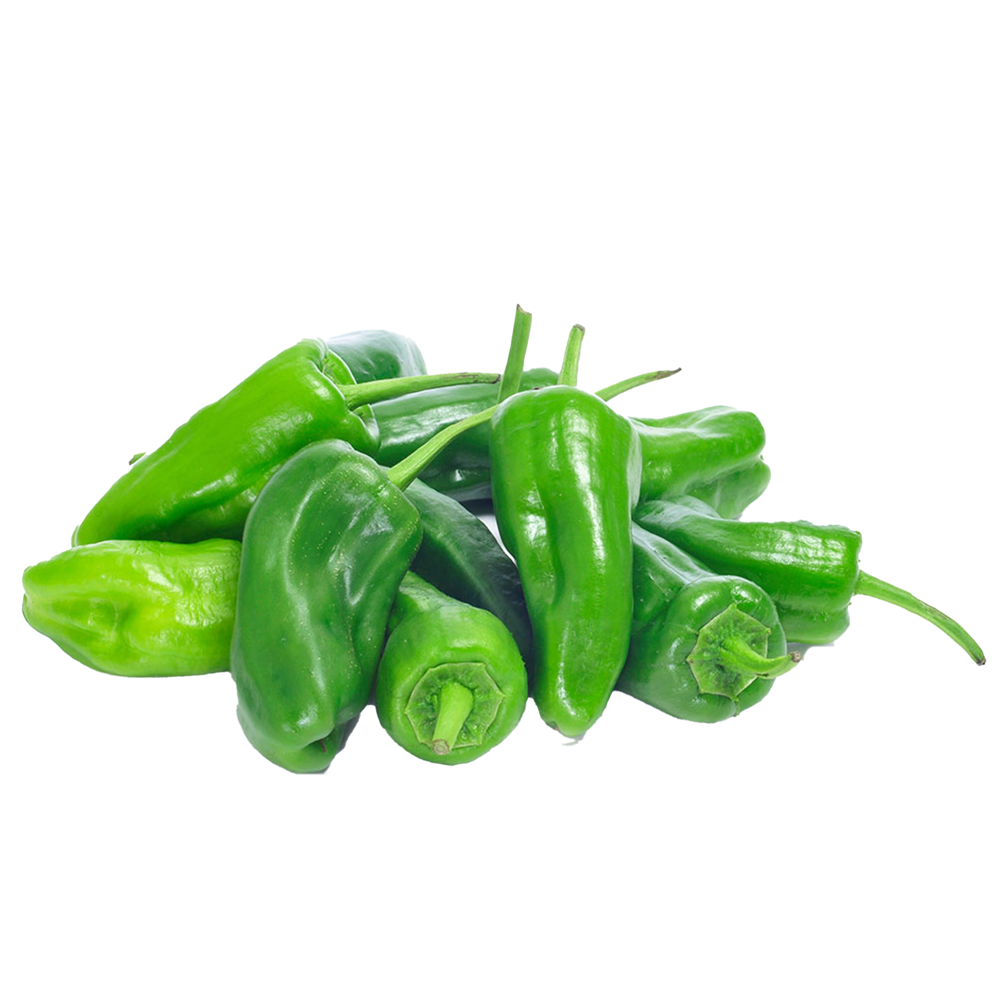 Chilipflanzen "Pimiento de Padron"