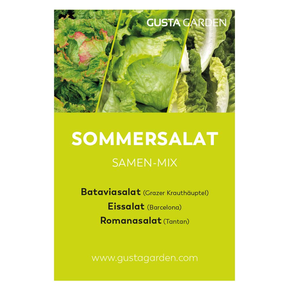 Summer salad seed mix