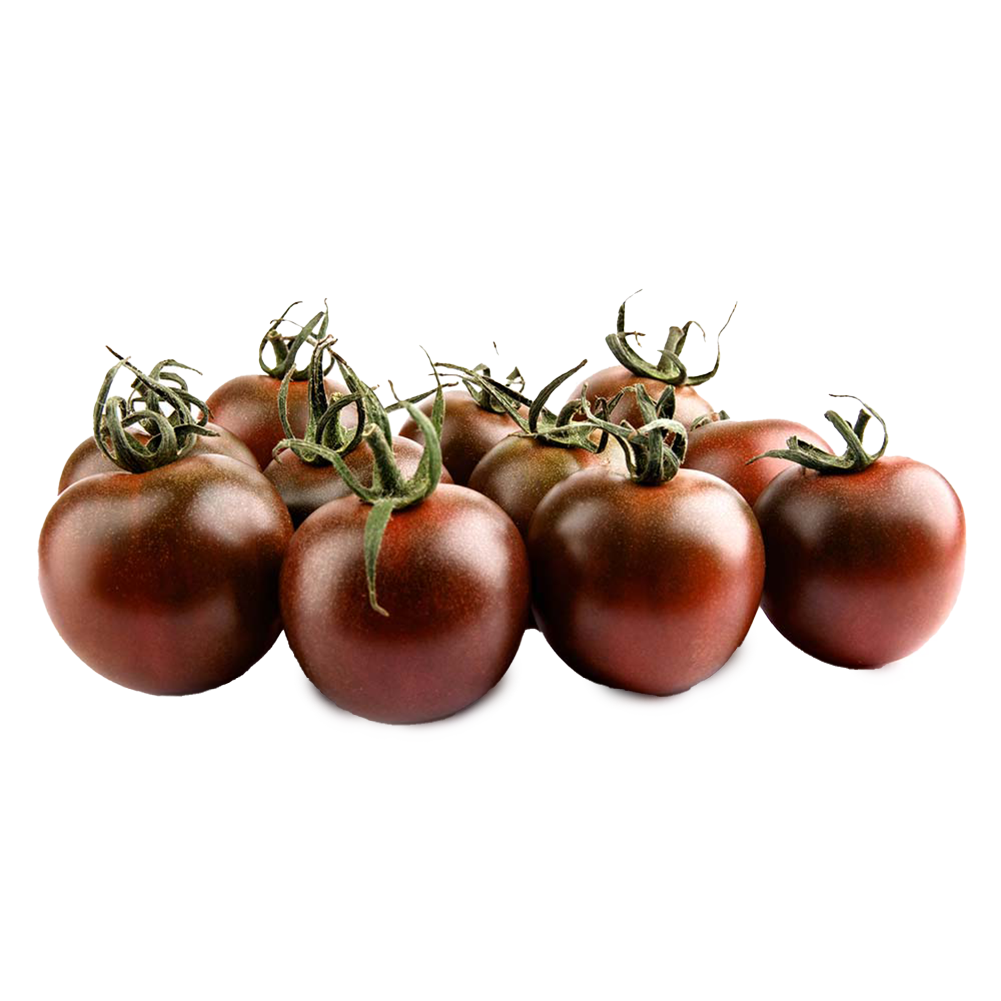 Tomatenpflanzen "Black Cherry"