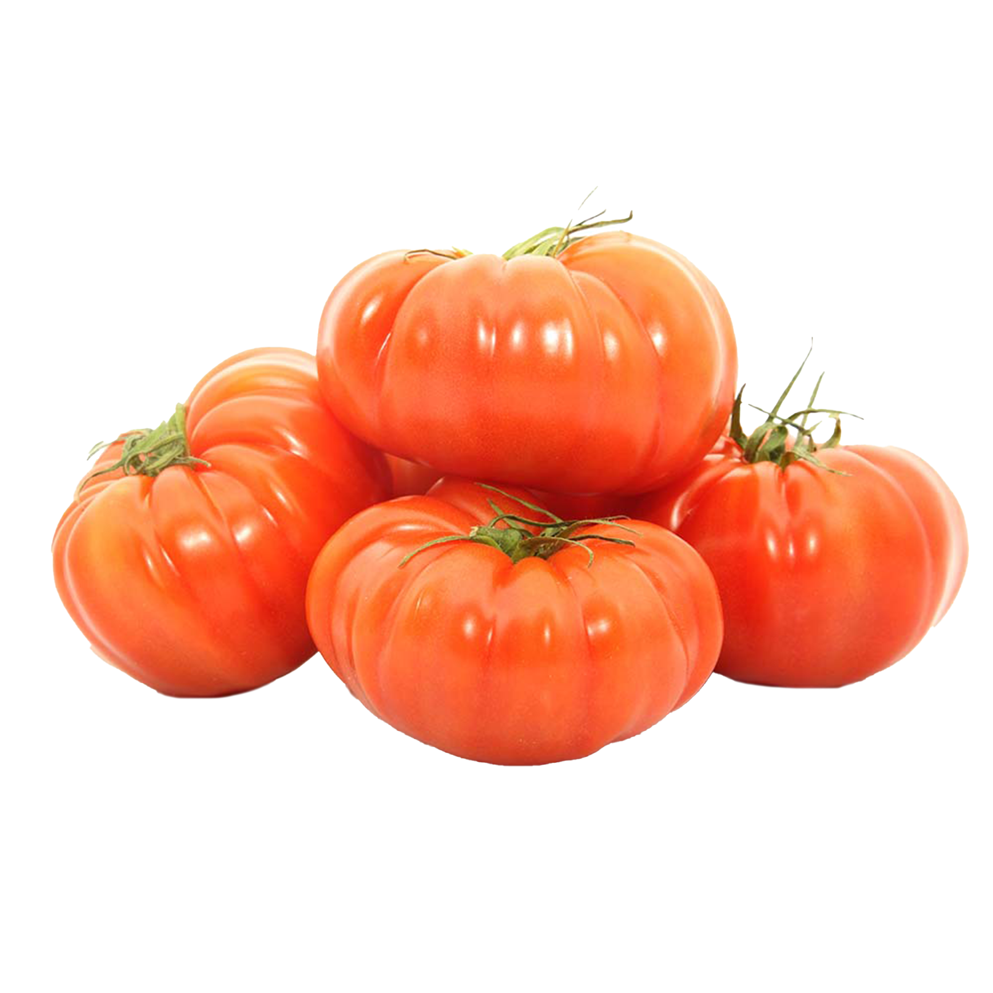 Tomatenpflanzen "Marmande"