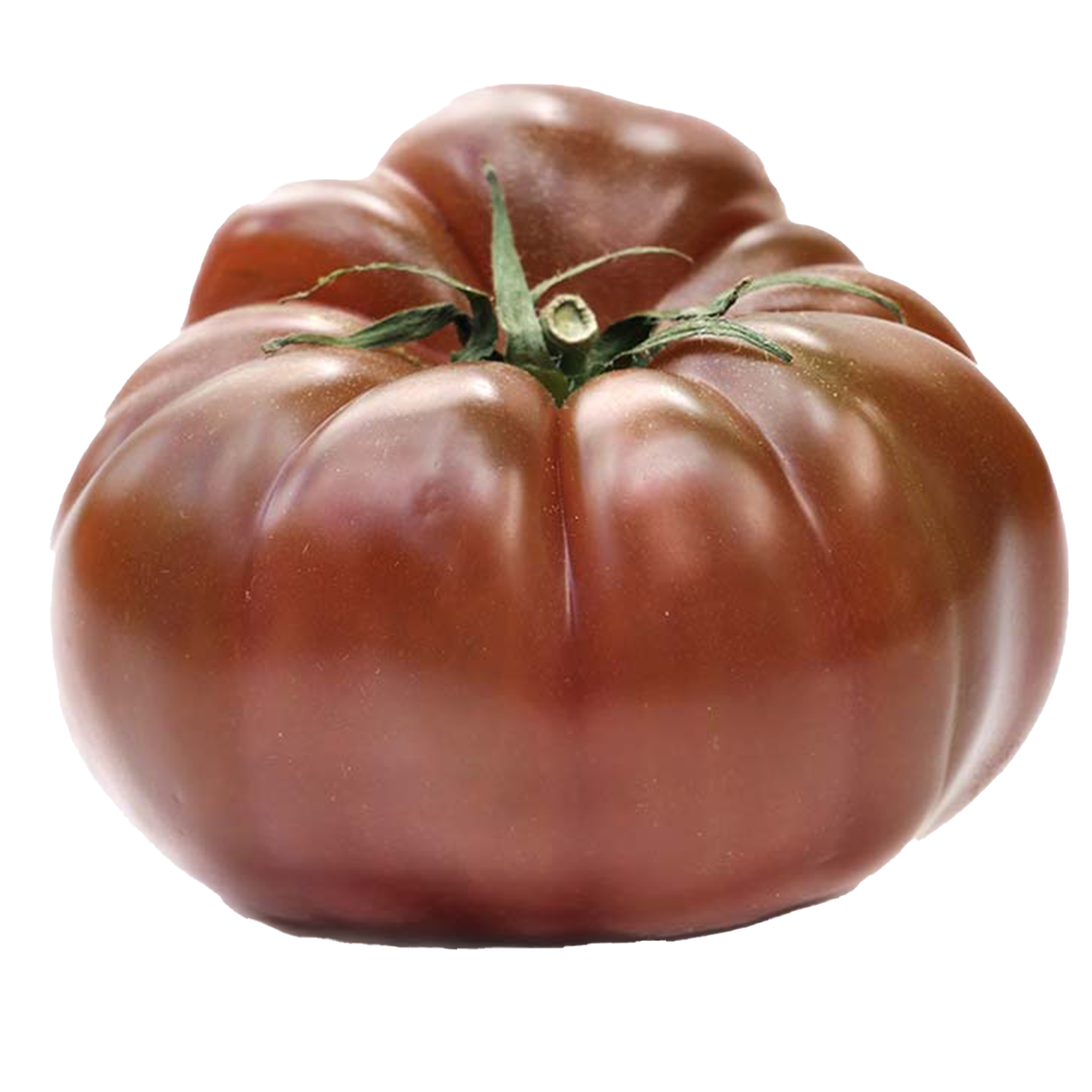 Tomatenpflanzen "Tschernij Prinz"