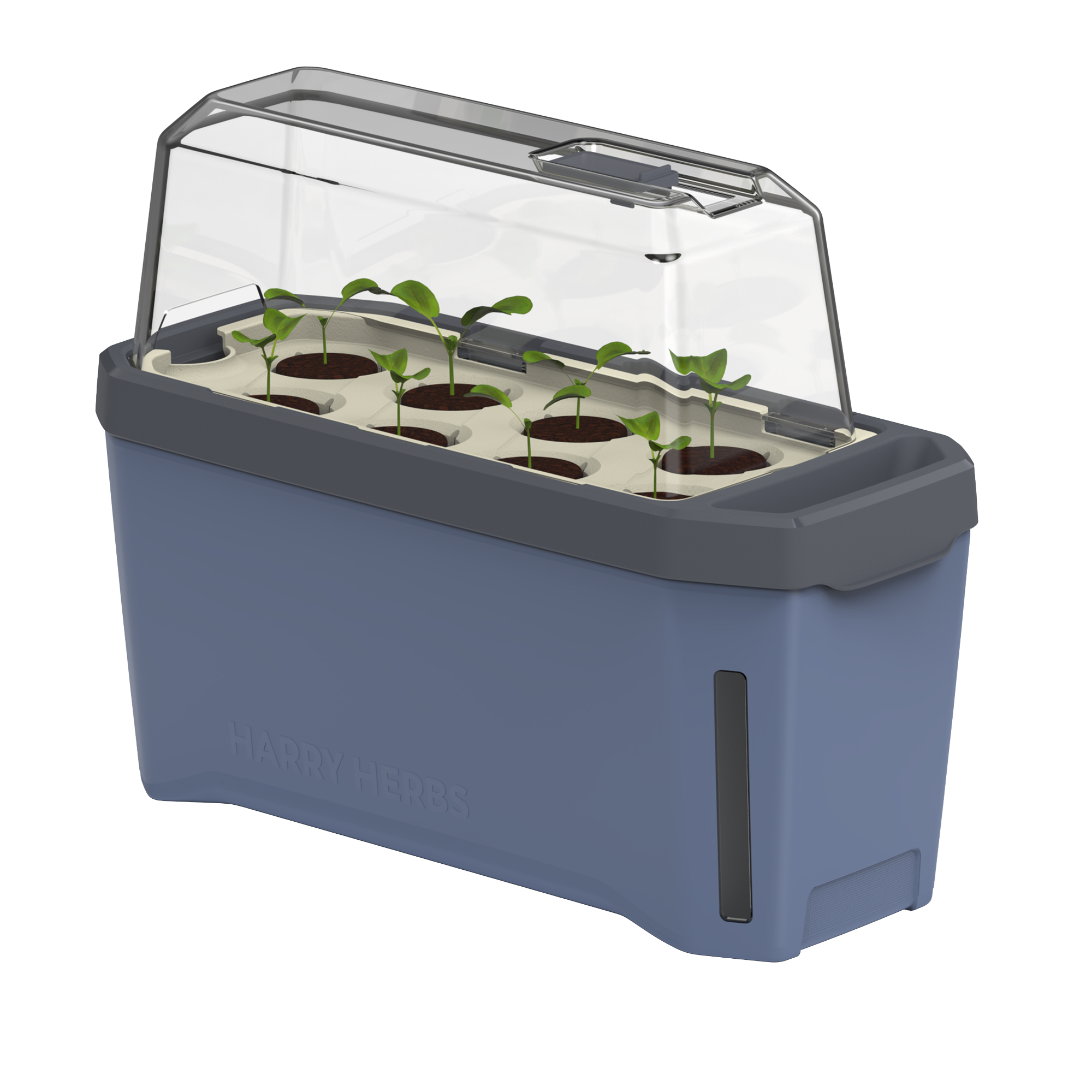 HARRY HERBS Microgreens Bundle