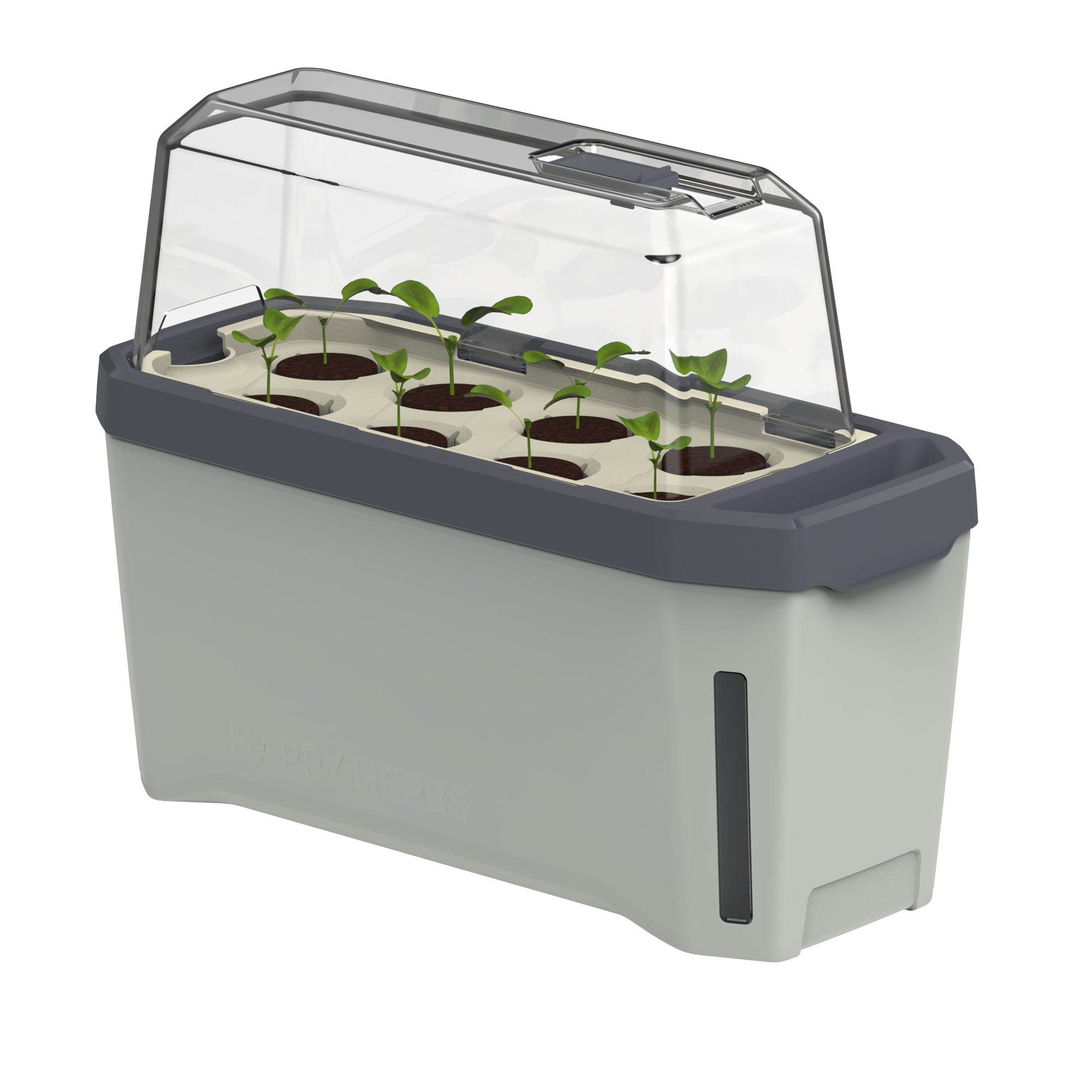 HARRY HERBS Microgreens Bundle