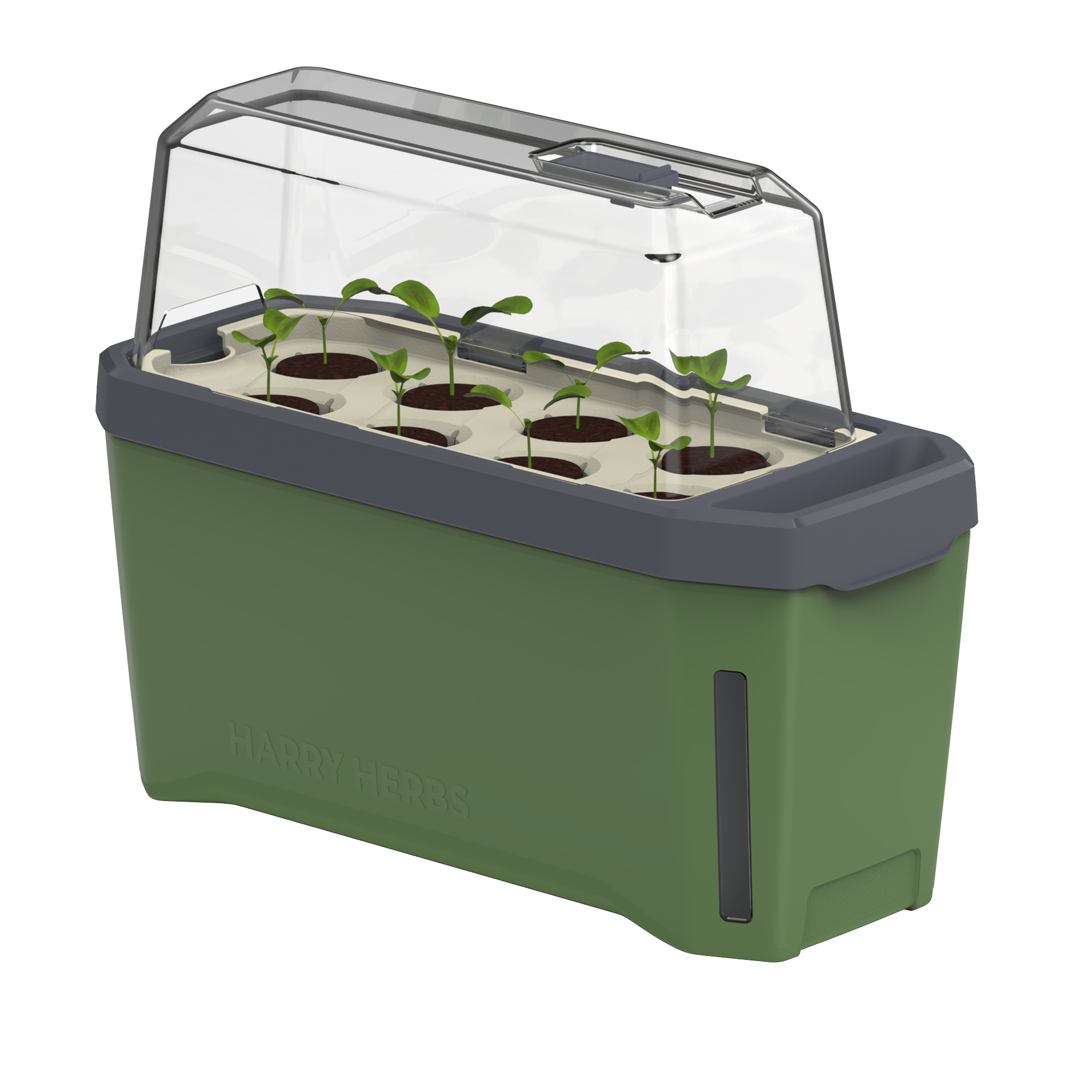 HARRY HERBS Microgreens Bundle