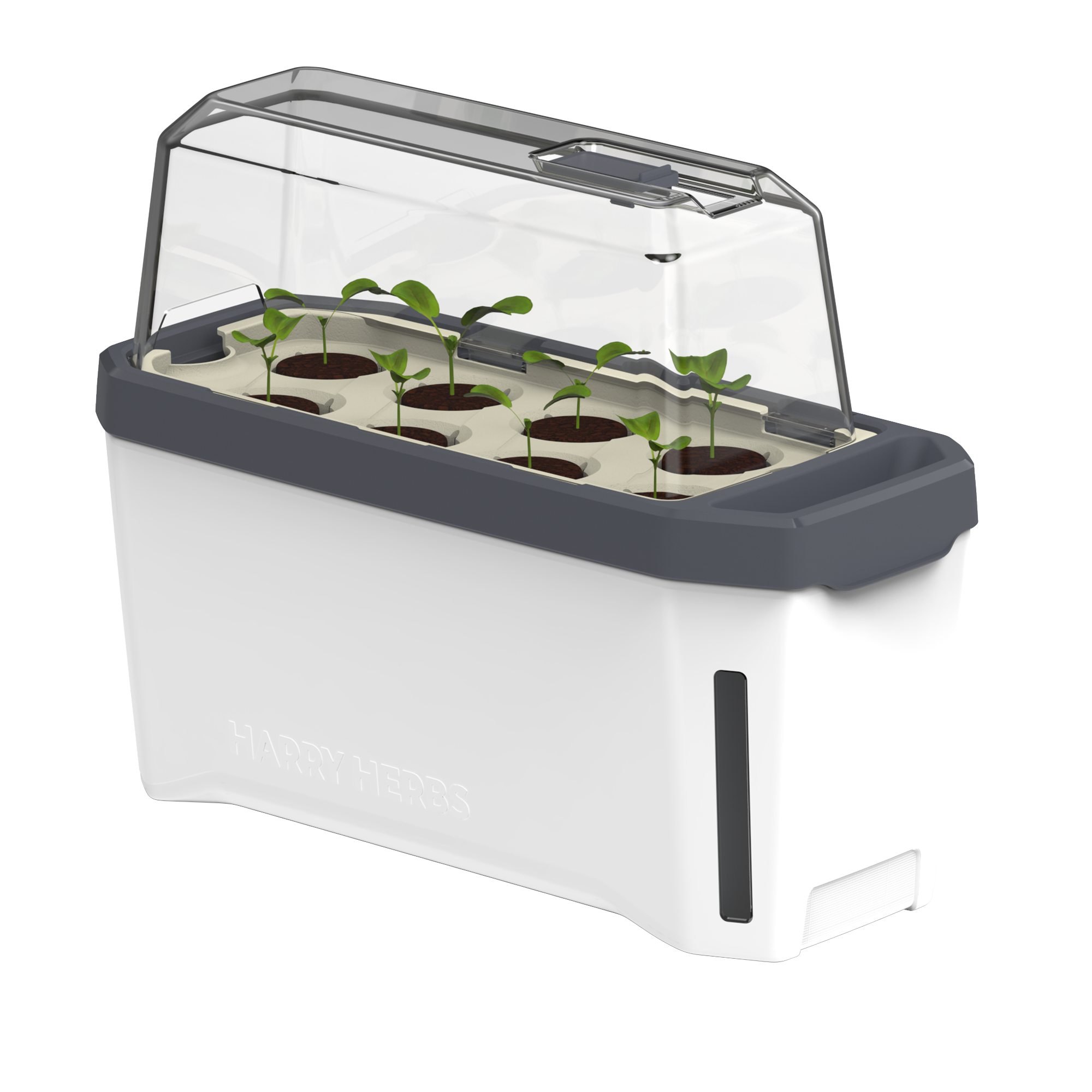 HARRY HERBS Microgreens Bundle