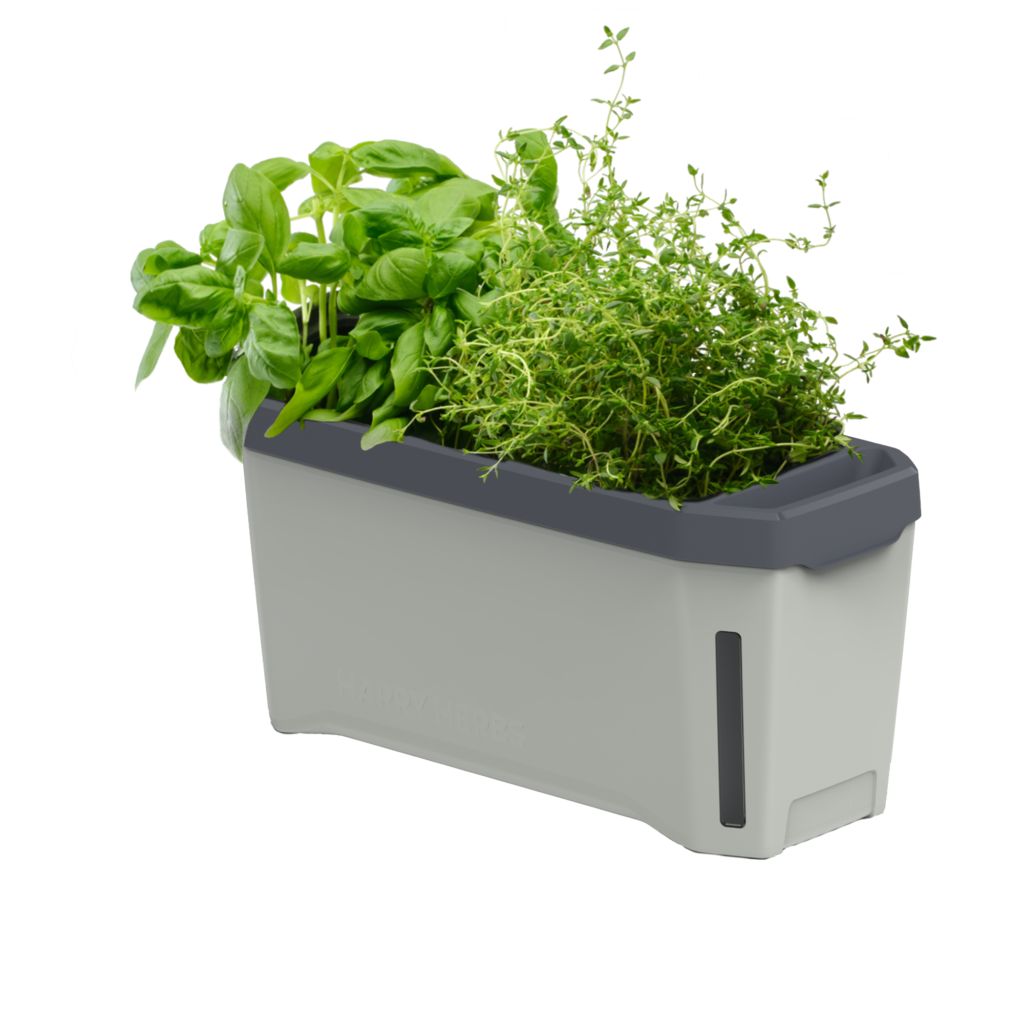 HARRY HERBS Microgreens Bundle