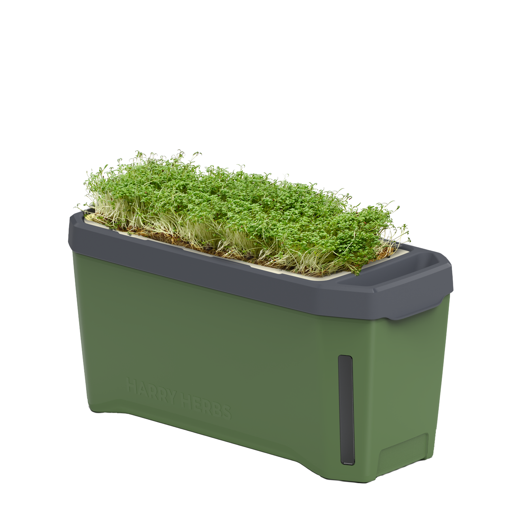 HARRY HERBS Microgreens Bundle