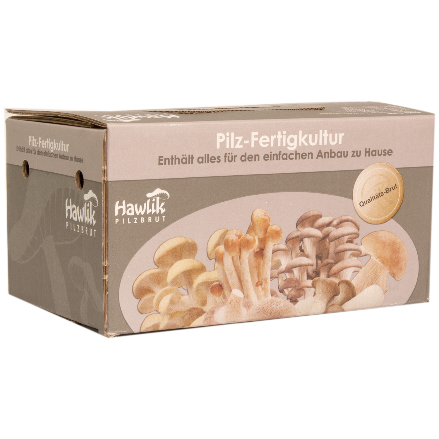 Hawlik Pilzbrut - Champignon, weiß