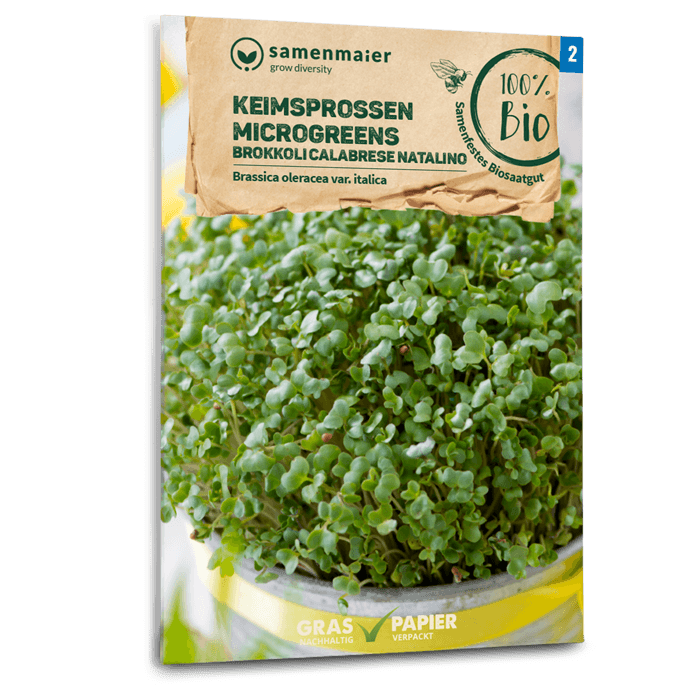 Samen Maier Keimsprossen/Microgreens Brokkoli Calabrese natalino