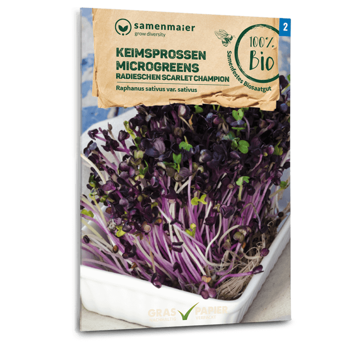 Samen Maier Keimsprossen/Microgreens Radieschen Scarlet Champion