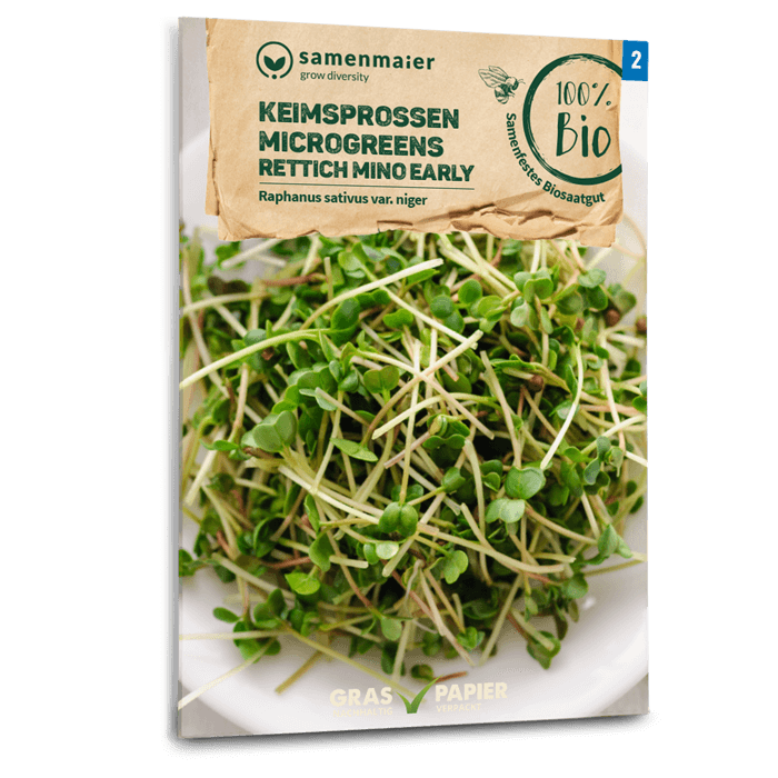 Samen Maier Keimsprossen Microgreens Rettich Mino Early