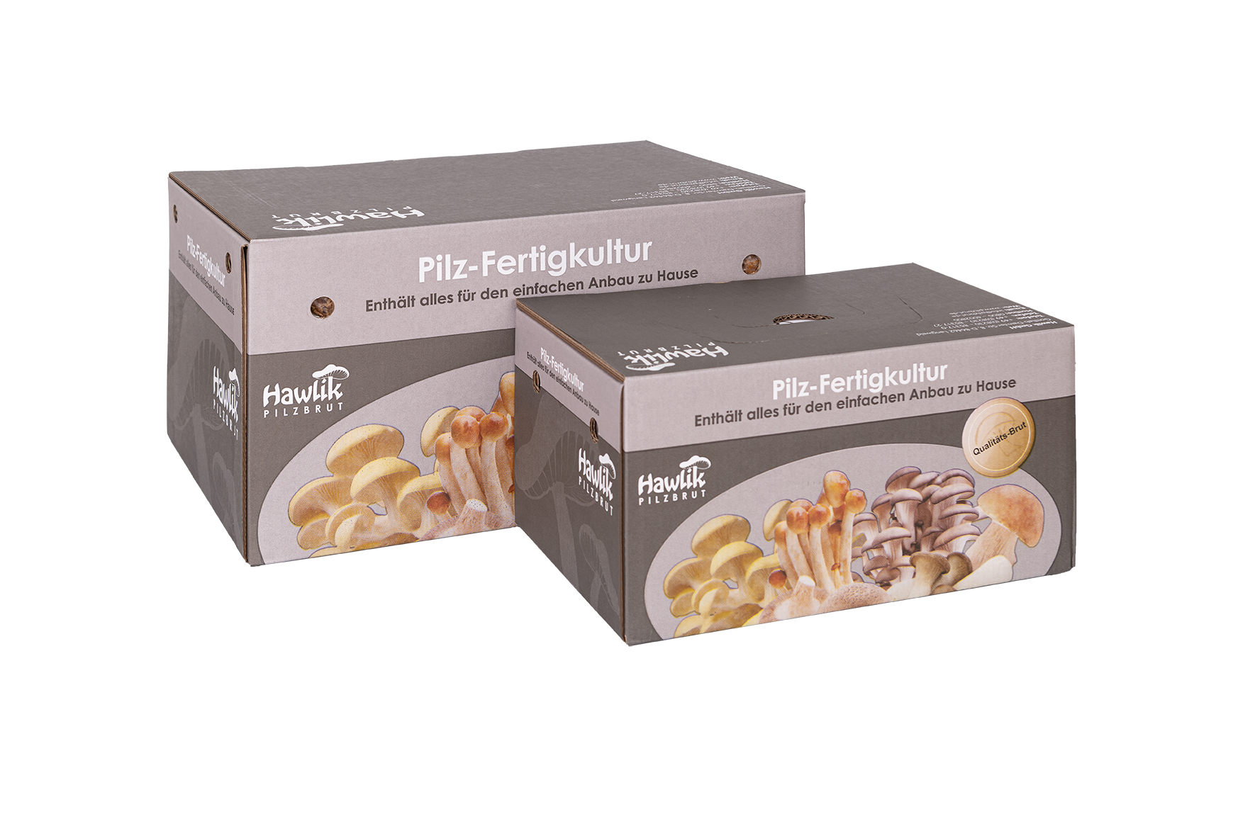 Hawlik Pilzbrut - Champignon, weiß