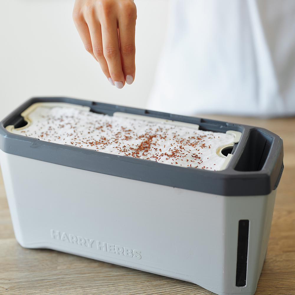 HARRY HERBS Microgreens Bundle