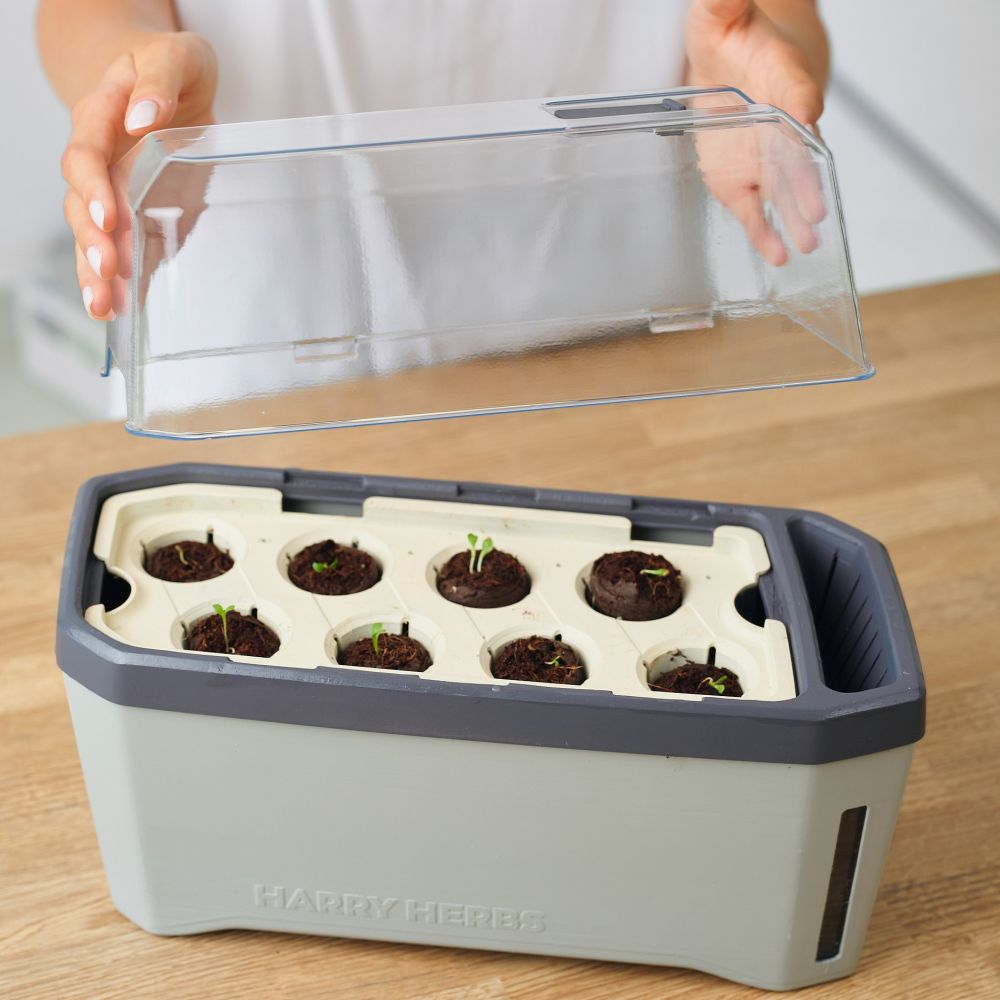 HARRY HERBS Microgreens Bundle