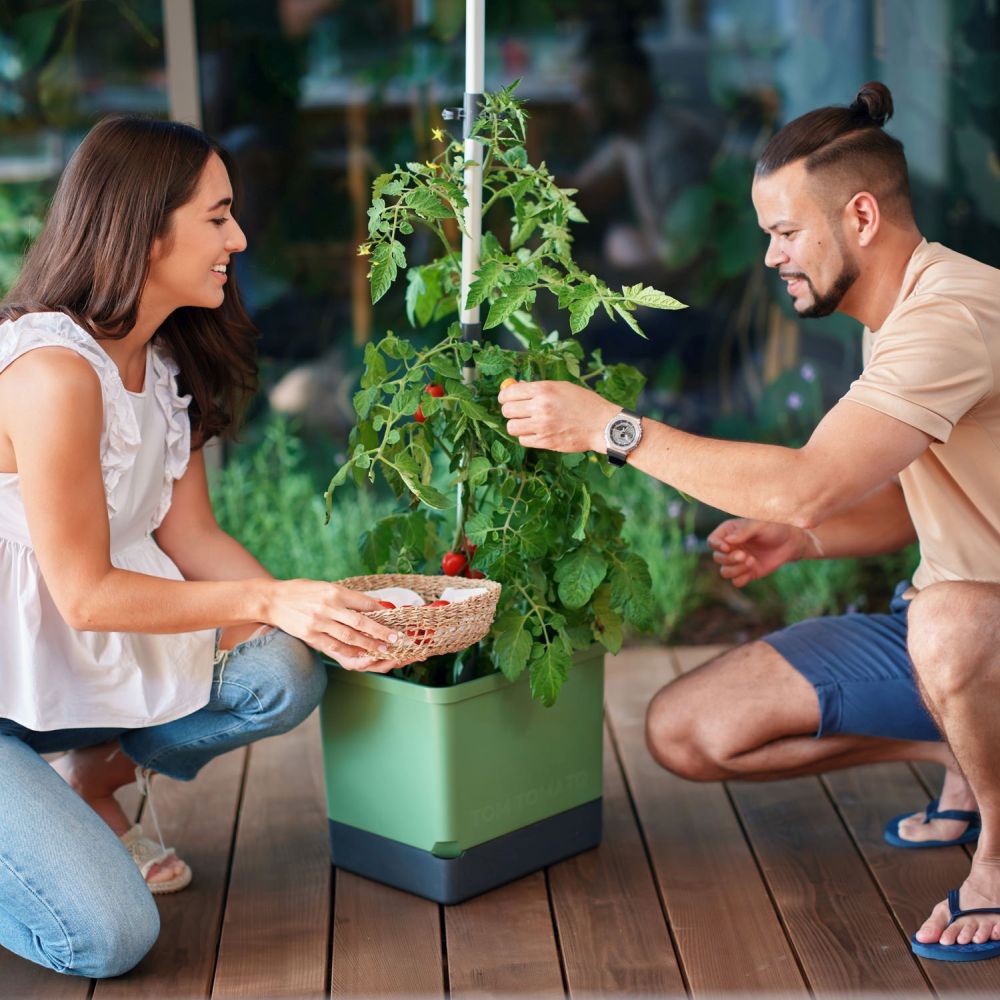 Verbinder für TOM TOMATO und TOMATO BUDDY