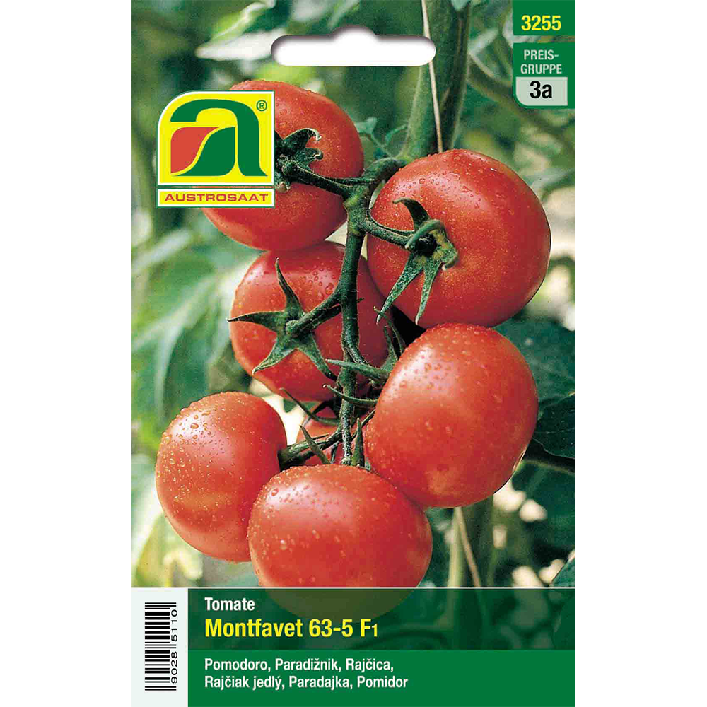 Austrosaat Tomate Montfavet H 63-5 F1