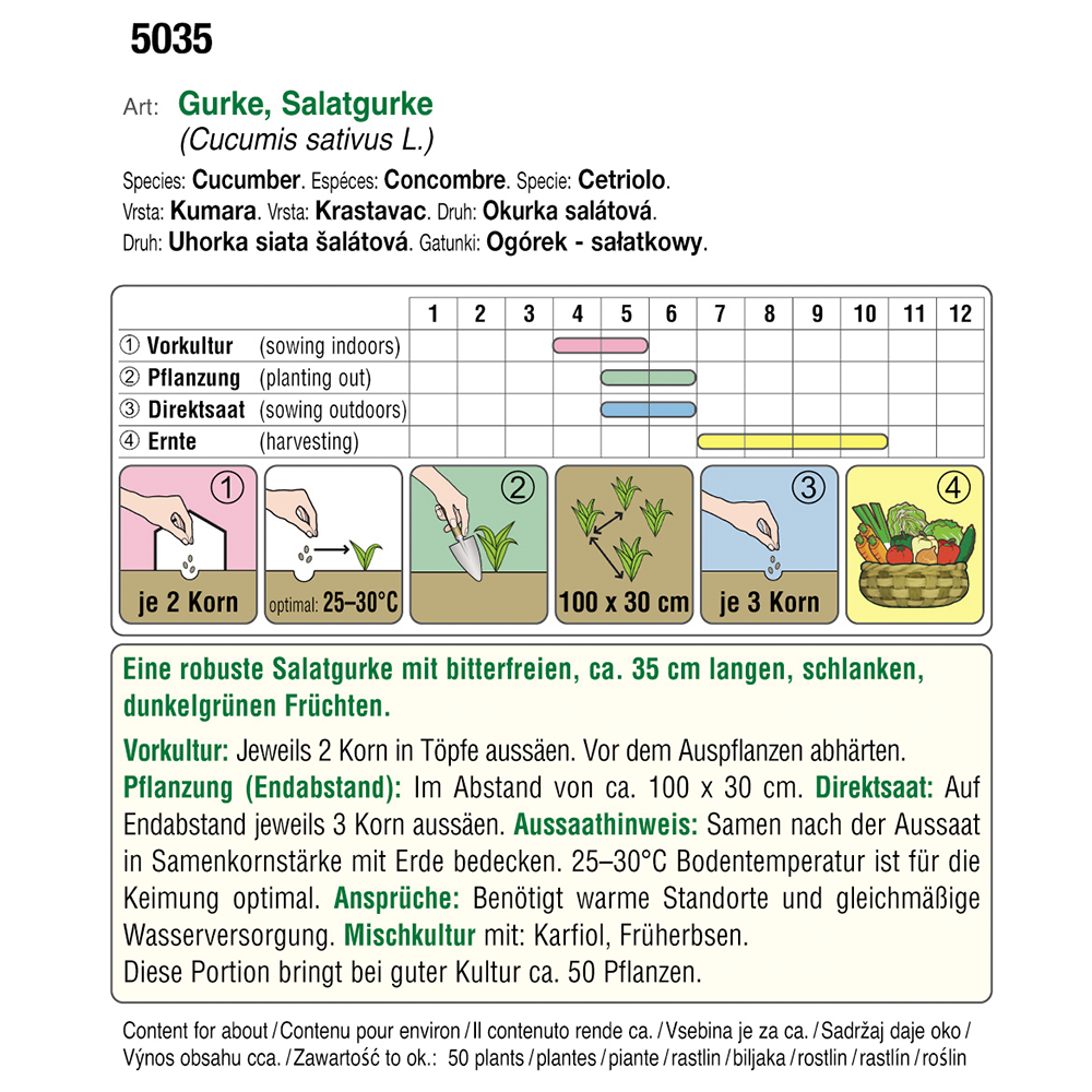 Austrosaat cucumber organic seeds