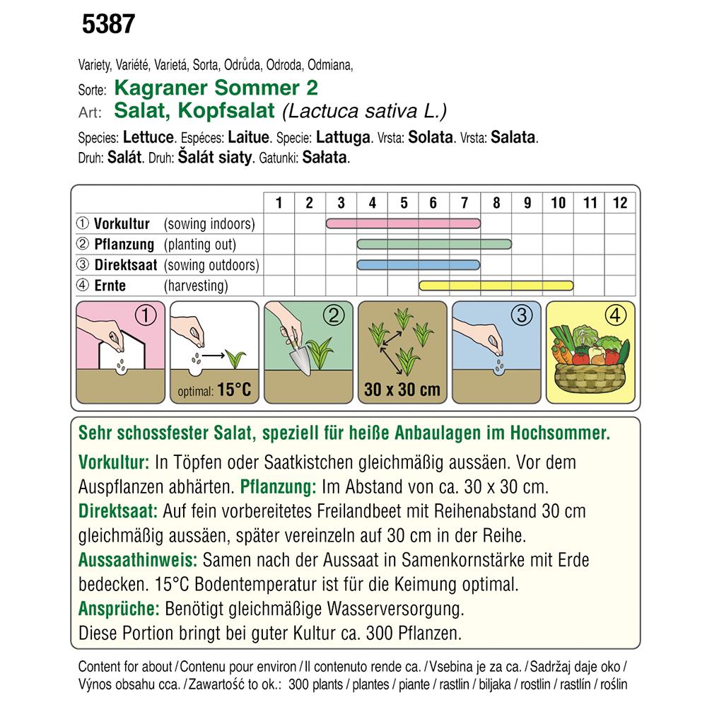 Austrosaat lettuce Kagraner summer 2 Austroselect organic seeds