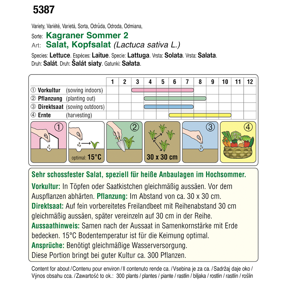 Austrosaat Kopfsalat Kagraner Sommer 2 Austroselect Biosaatgut
