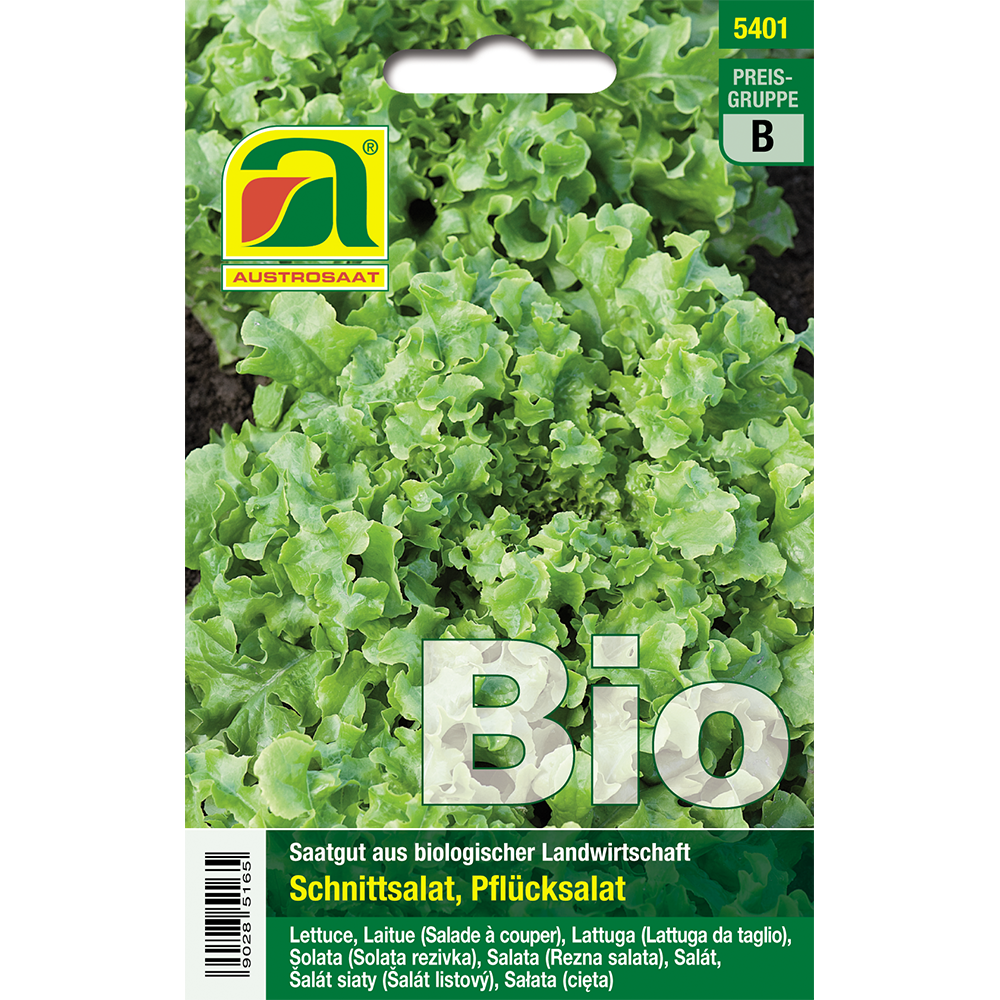 Austrosaat cut lettuce Salad Bowl organic seeds
