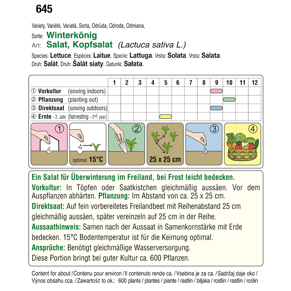 Austrosaat Kopfsalat Winterkönig Austroselect