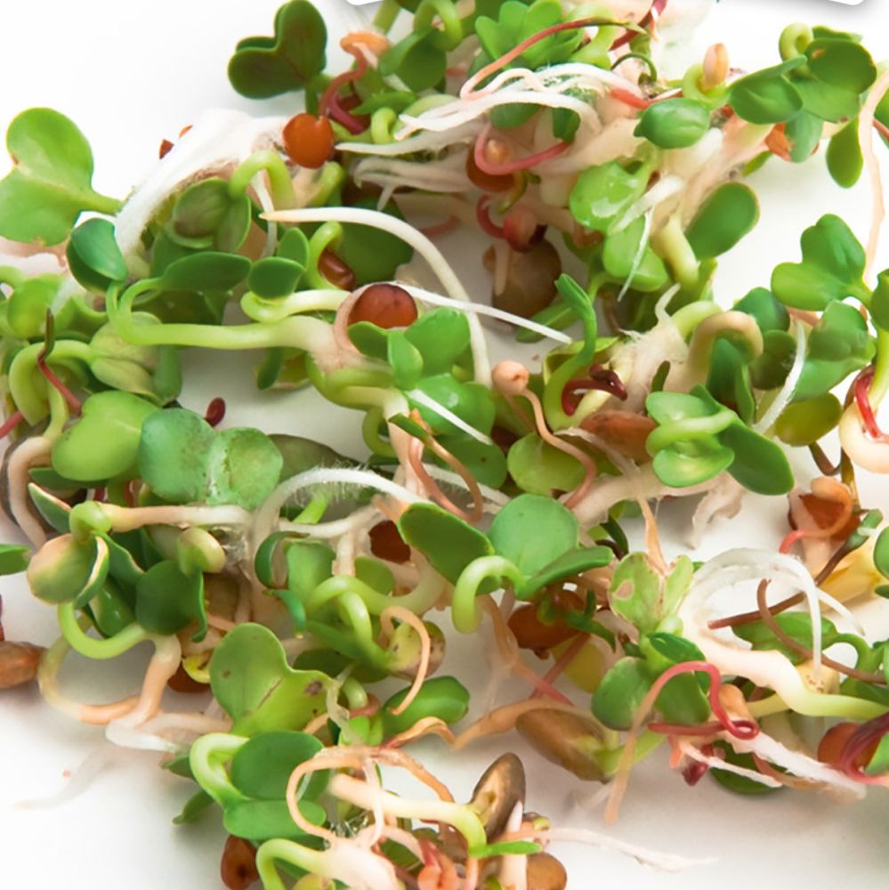 Microgreens refill kit
