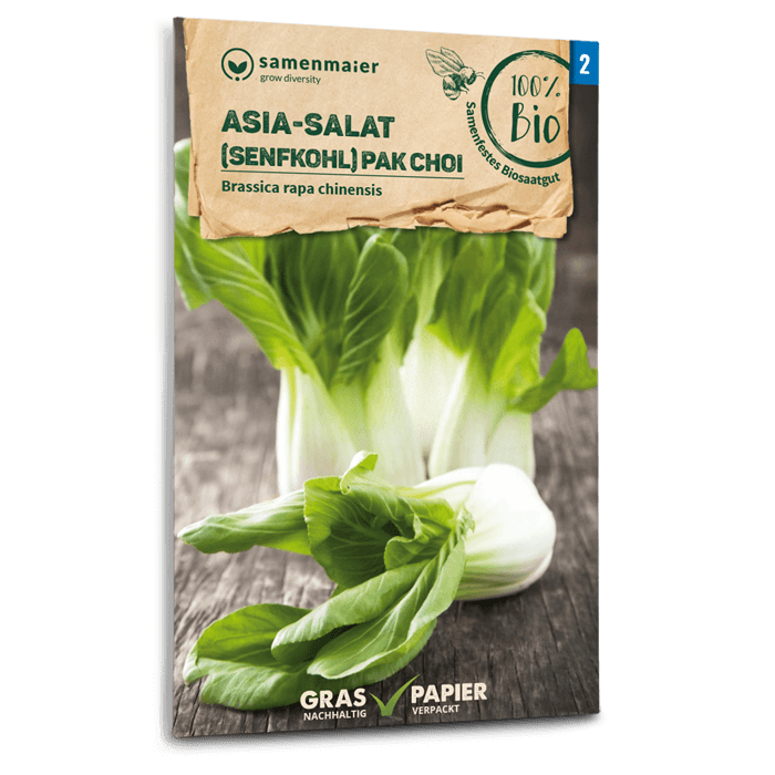 Samen Maier Asia-Salat, Senfkohl (Pak Choi)