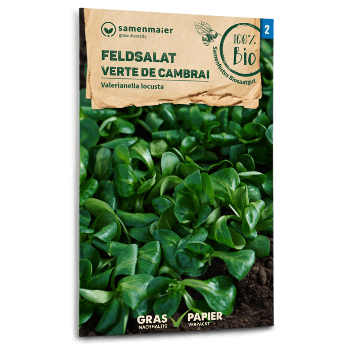 Samen Maier Feldsalat, Verte de Cambrai