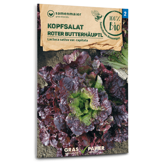 Samen Maier Kopfsalat, Roter Butterhäuptl