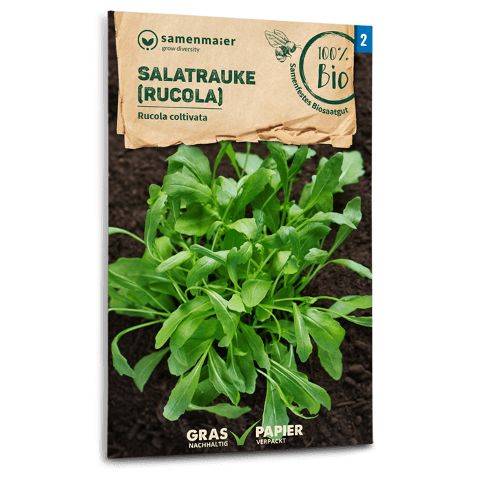 Samen Maier Salatrauke (Rucola)