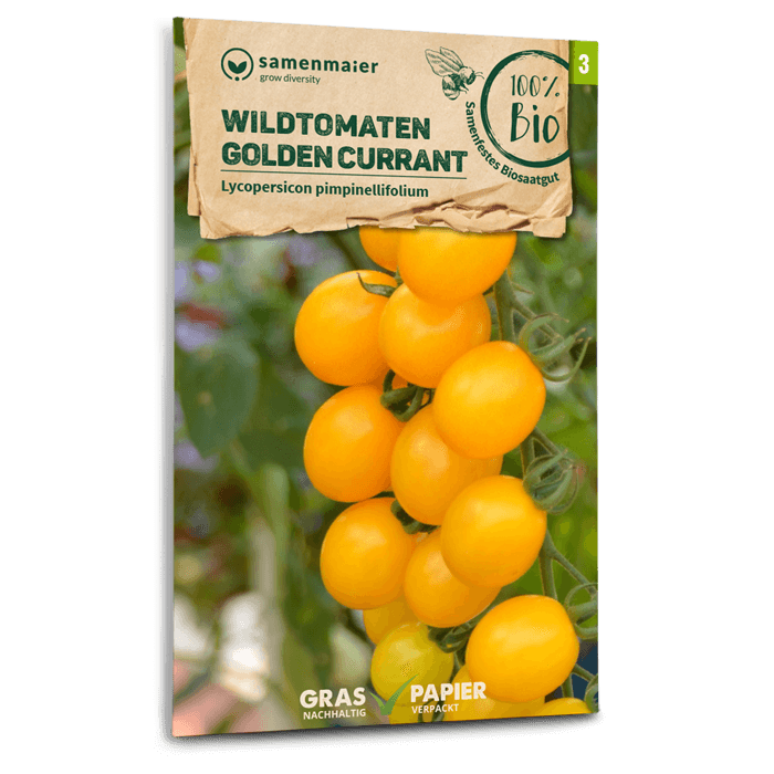 Samen Maier Wildtomaten, Golden Currant