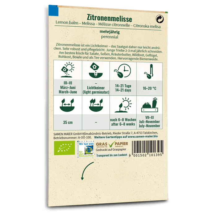 Samen Maier Zitronenmelisse