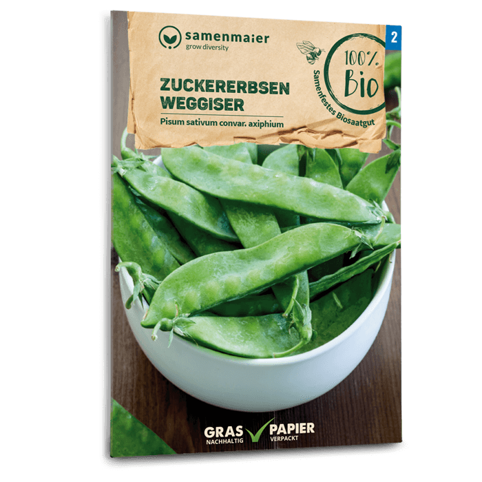 Samen Maier Zuckererbsen, Weggiser