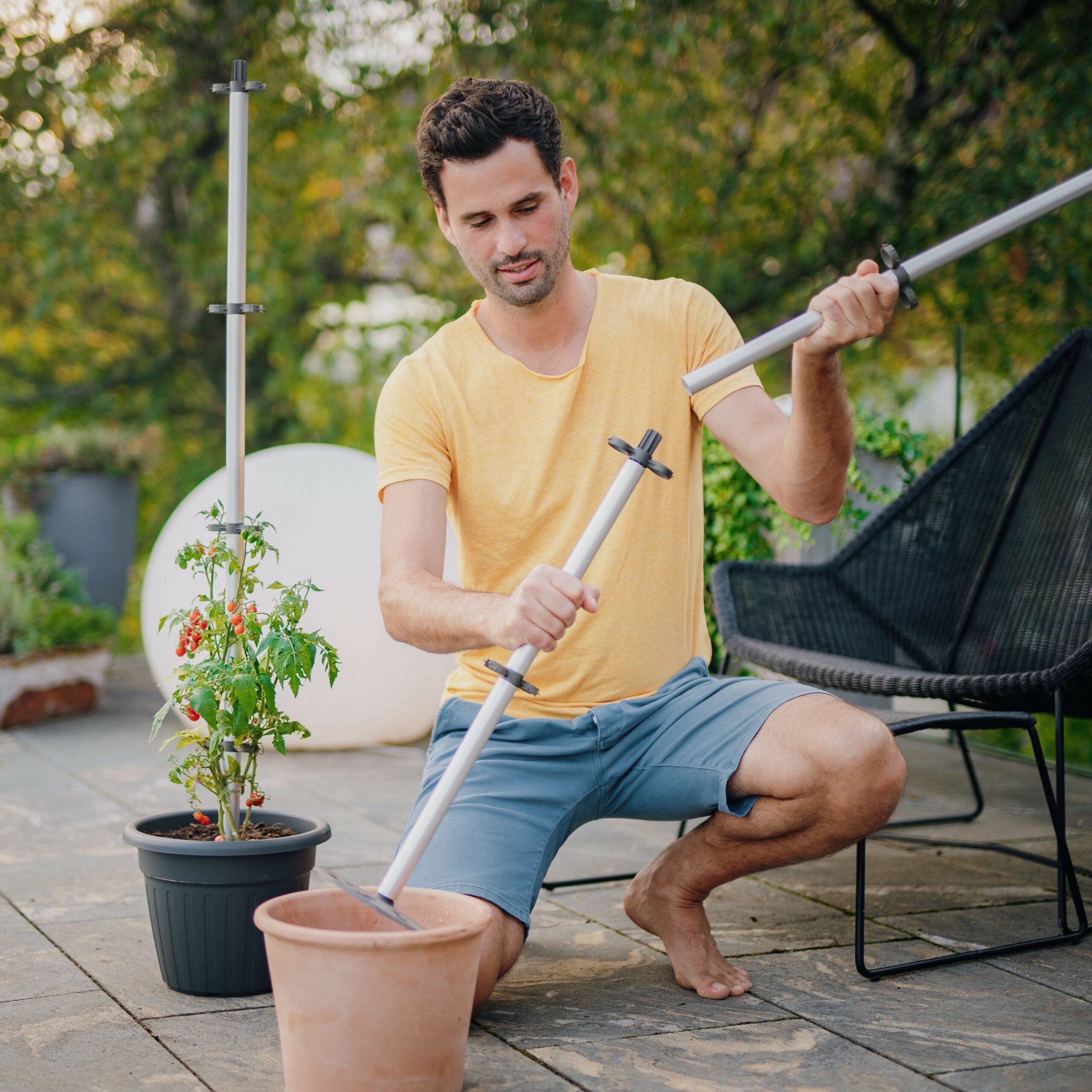 TOMATO BUDDY, die Tomatenrankhilfe für jedes Pflanzgefäß