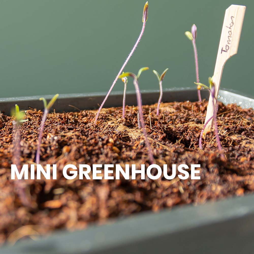 Mini Greenhouse How-to