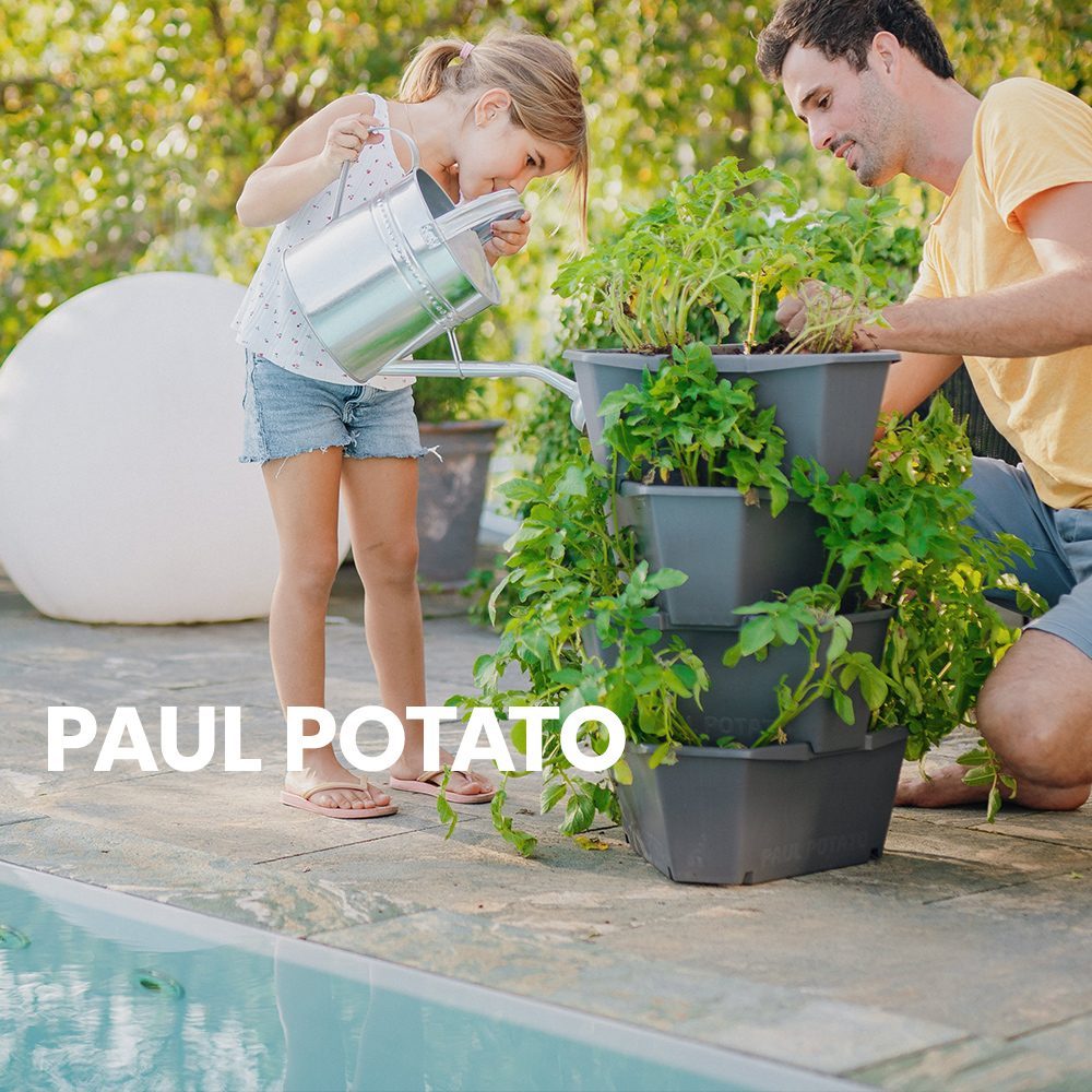 PAUL POTATO How-to