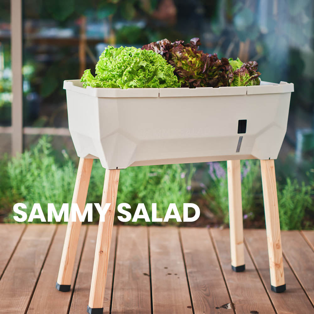 SAMMY SALAD How-to