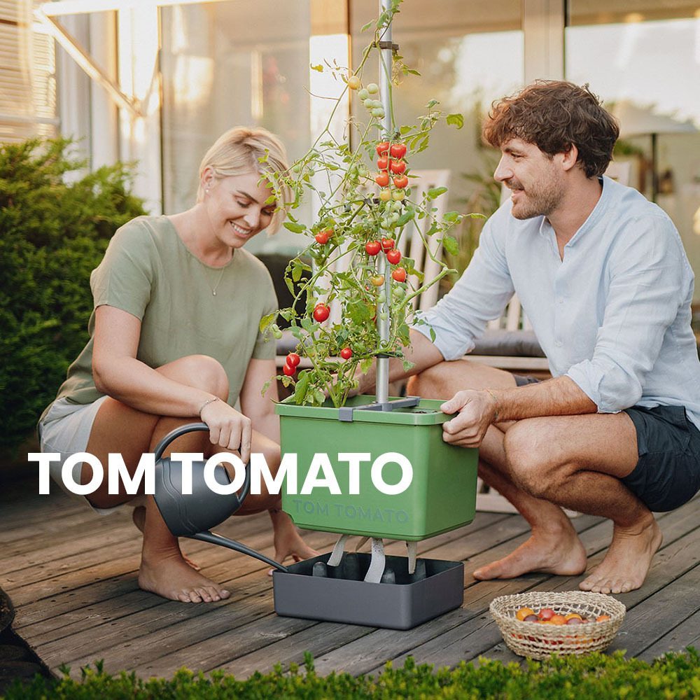 TOM-TOMATO-Anleitung