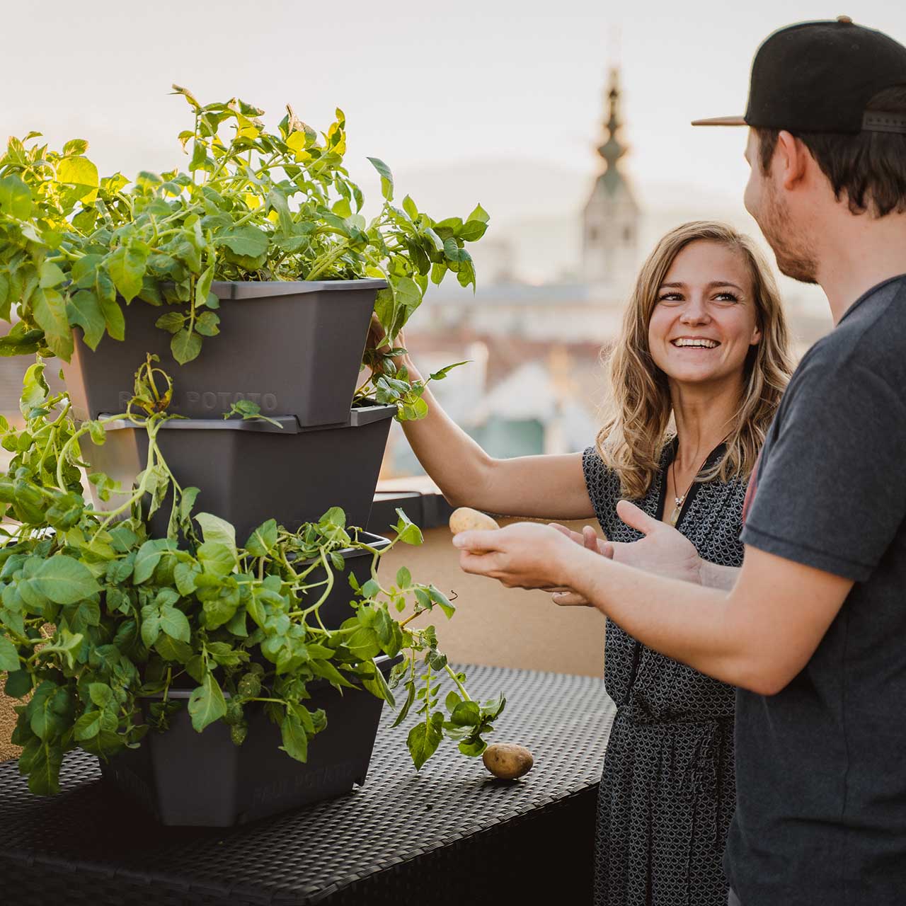 Perfekt geeignet für Balkon und Terrasse