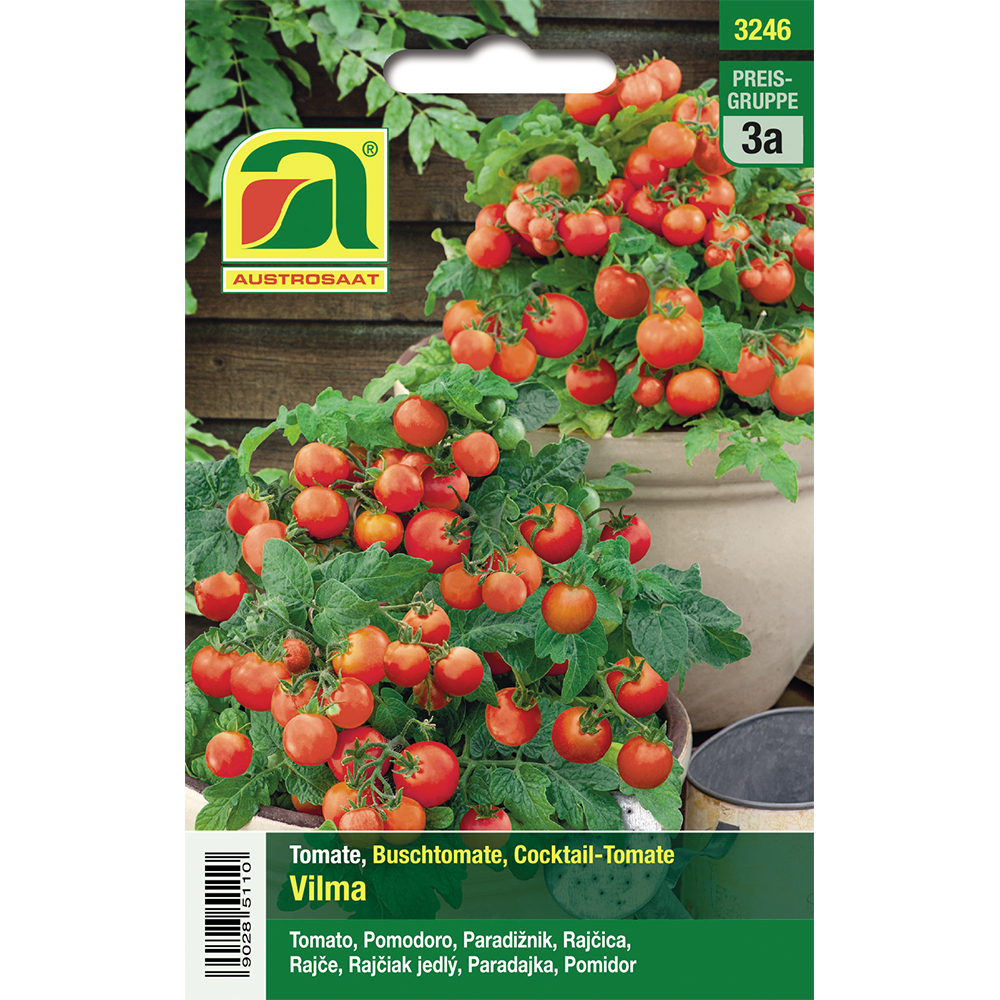 Austrosaat bush tomato Vilma