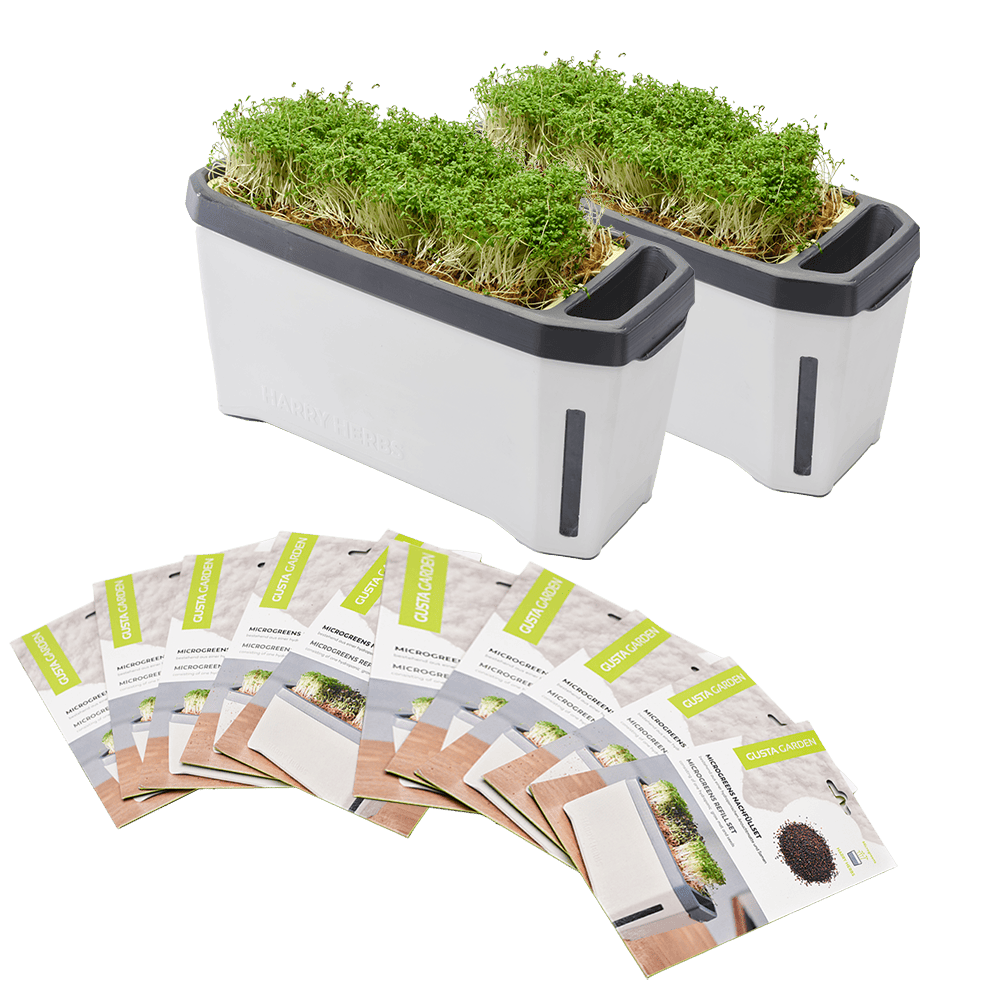 HARRY HERBS Microgreens Super Bundle (Doppelpack)
