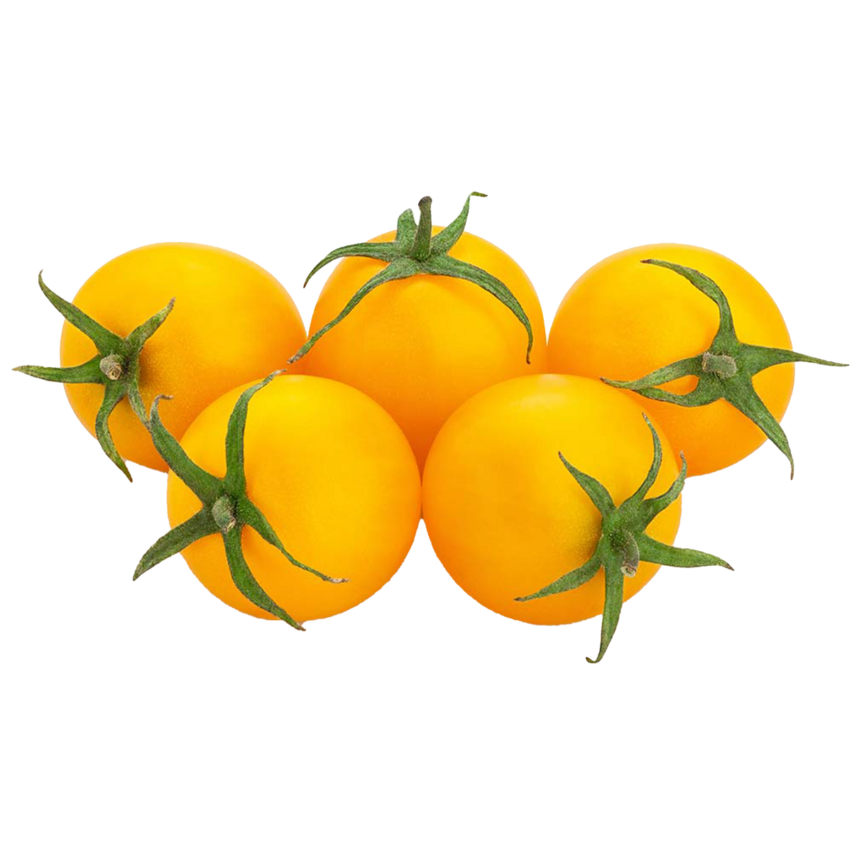 Tomato plants "Golden Queen"