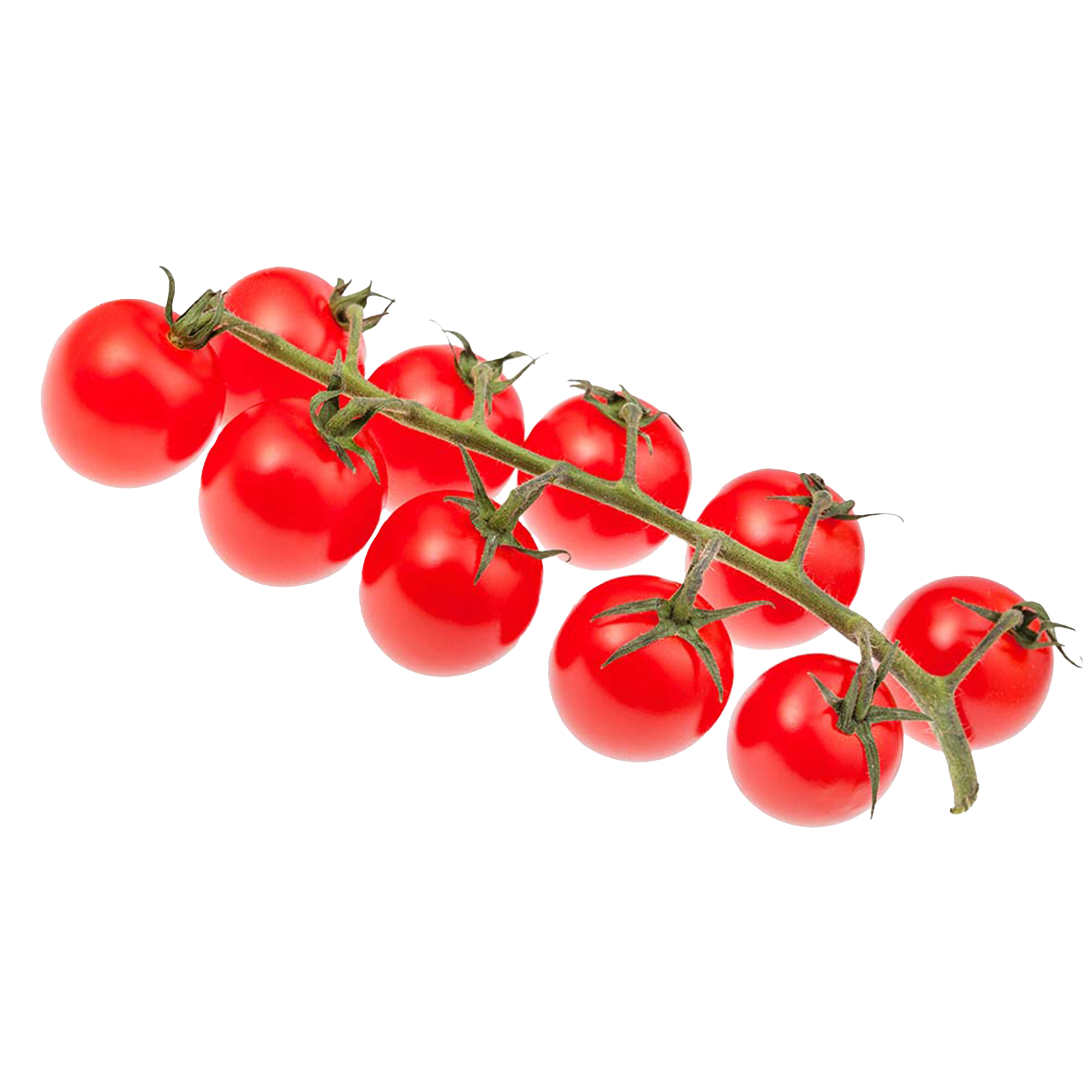 Tomatenpflanzen "Mexikanische Honigtomate"