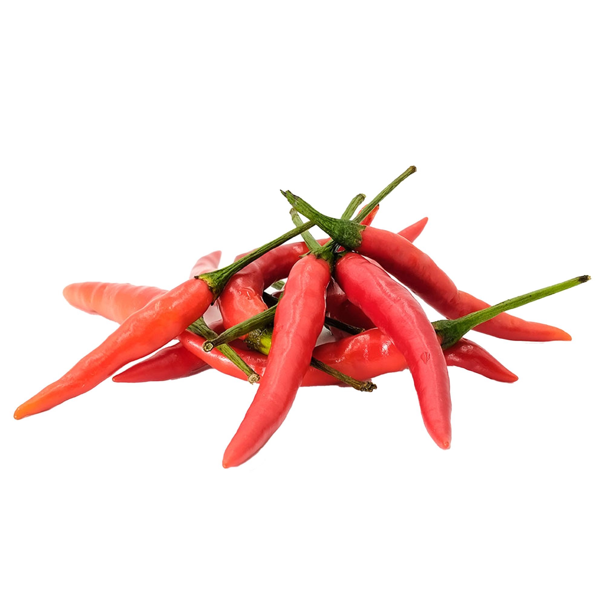 Chilipflanzen "Thai Dragon"