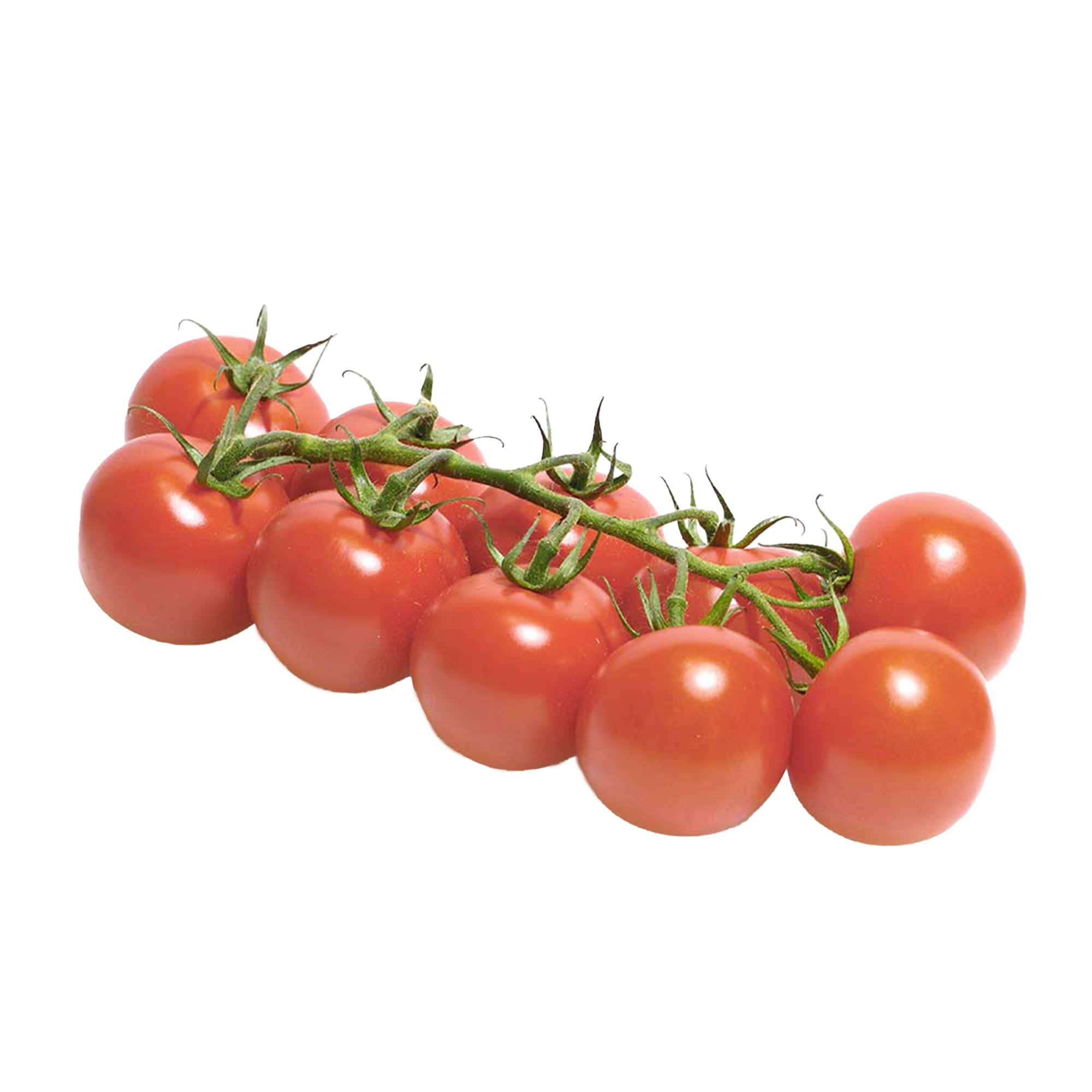 Tomato plants "Sugar Grape"