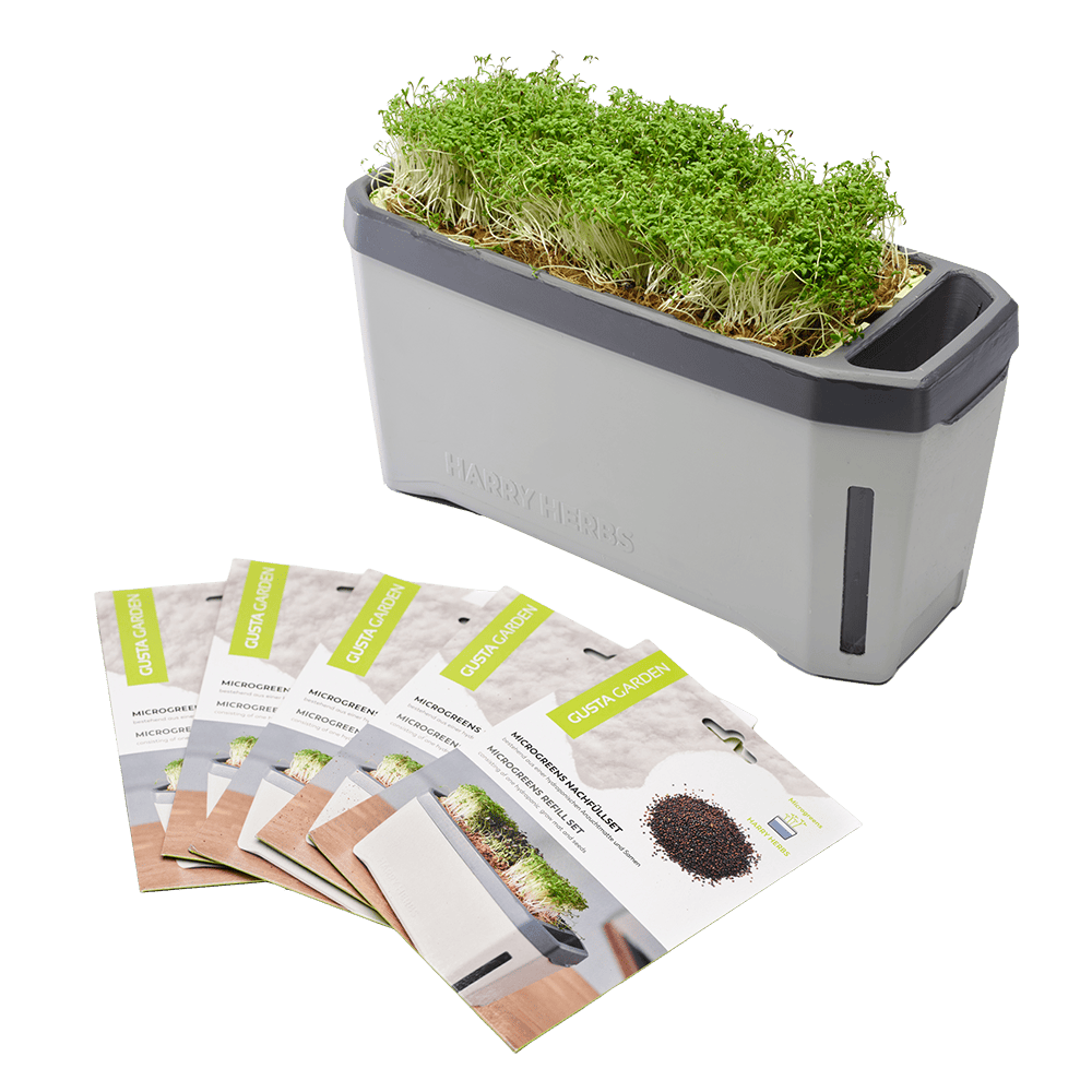 HARRY HERBS Microgreens Bundle