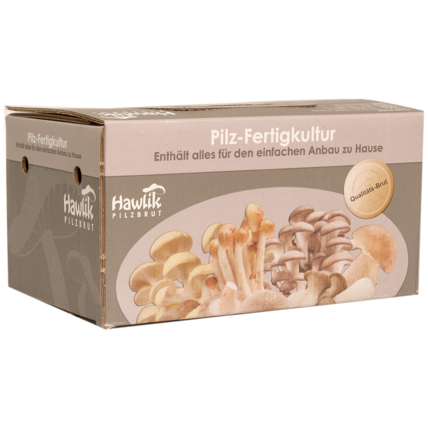 Hawlik Pilzbrut - Cremini champignon mushroom